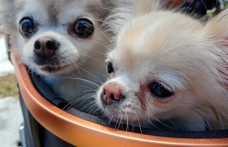 旅行中のノアハナ