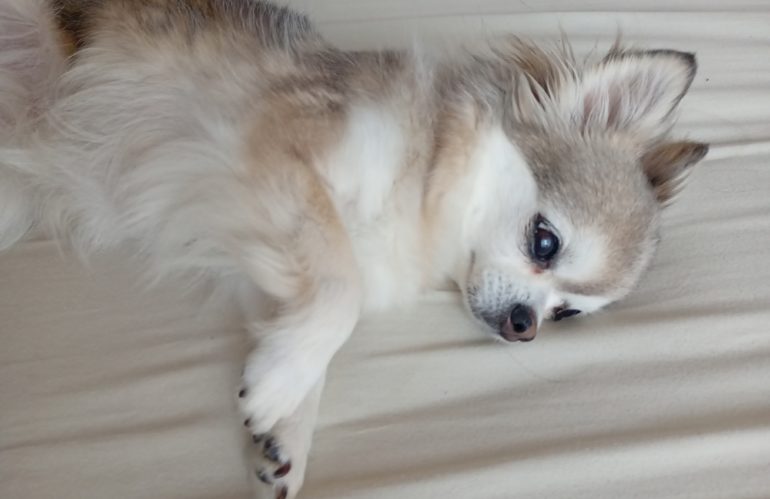 二階にのぼって来たノアさん