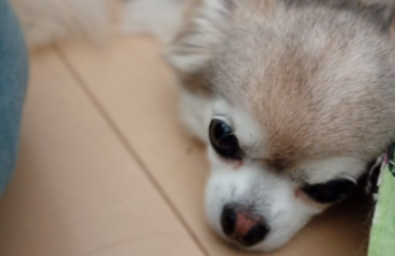 妹がノアに優しくしている⁉意外な事件で妹の行動が真反対になった事。　